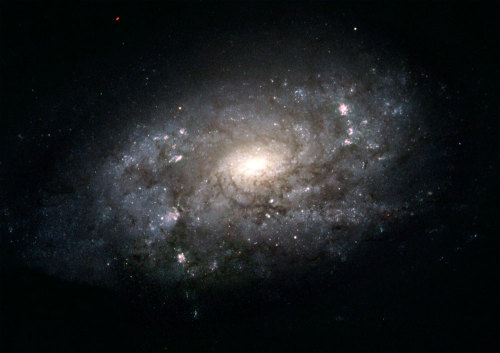 captainpuzzle:  milky way 
