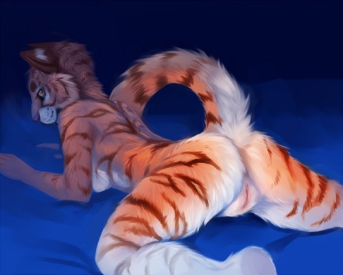 sick-marmalade-grandpa:  Tigers for mightydarktiger! 