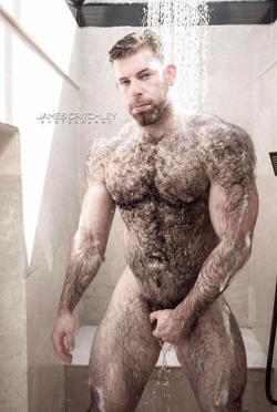 papillon52: beardburnme: jockedupbrit Instagram Such a Gorgeous Hairy MAN 