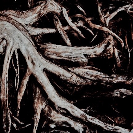 Norse Mythology From A To Z: