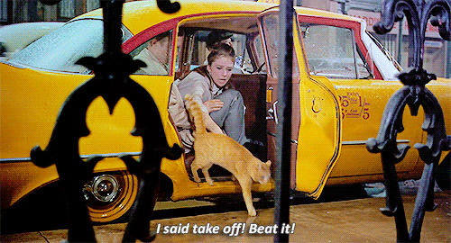 hepburny:  Audrey Hepburn claimed that this scene where she throws Cat out of the