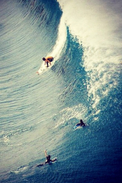 live love surf on We Heart It - http://weheartit.com/entry/46854579/via/xegy