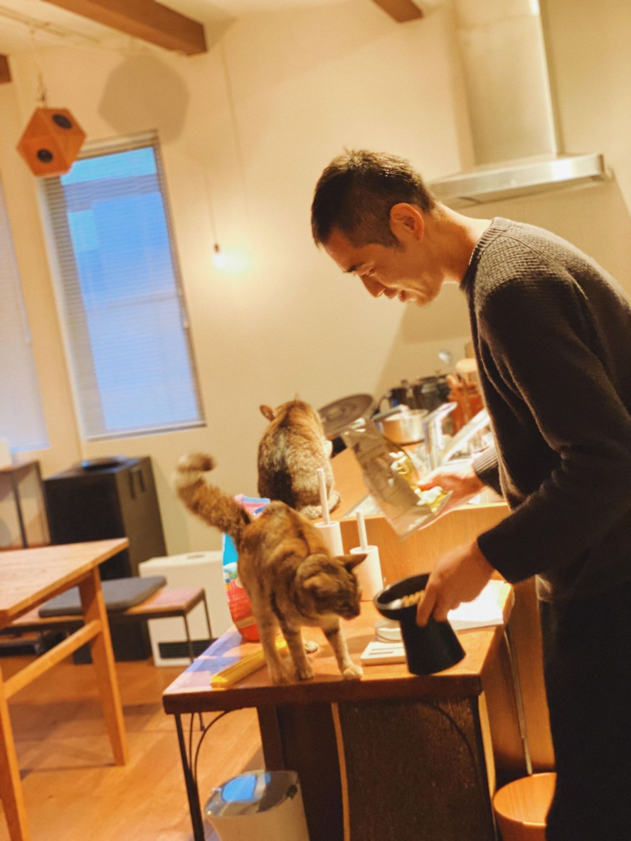乃木蛍 Tumblr Posts Tumbral Com 乃木蛍 Tumblr Posts Tumbral Com