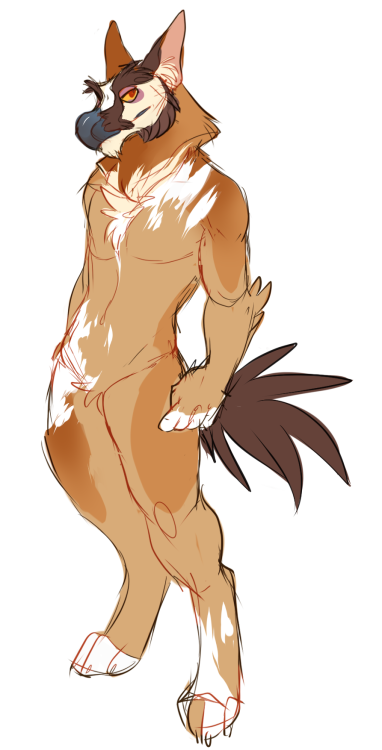 hootadoodle:  why have a boyfriend when you can just make one lolive needed more male characters anyway so I decided to literally make Hoot a husband. h needs a name.he’s a bearded vulture, african wild dog, some kind of big cat mi/gryphon 