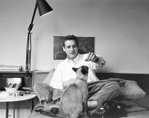 Porn photo wehadfacesthen:  Paul Newman, New York, 1956
