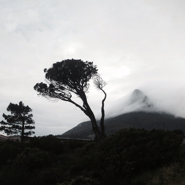 The Lionhead. Cape Town. //#igerssouthafrica #igerscapetown #igersstuttgart #igerseurope #nature #landscape//