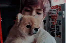bwisou:“in 10 years, i will be taking my future children to the zoo”