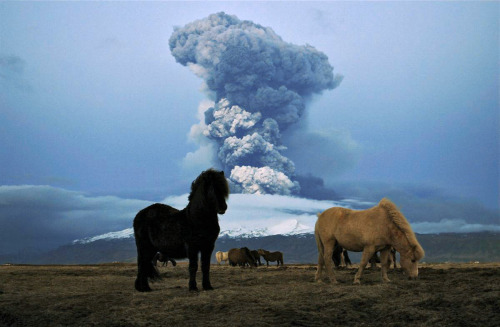 muscle-horse-appreciation: coolthingoftheday: A volcano erupting in Iceland. (Source) I like how eve