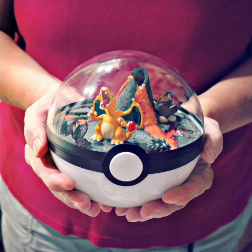 culturenlifestyle: Ingenious Pokéball Terrariums  Texas based artist Lauren from The Vintage Realm takes pride in being a 90s kid. Inspired by vintage Pokémon, which was one of her childhood passions, she created a collection of Poke terrarium. Plucking