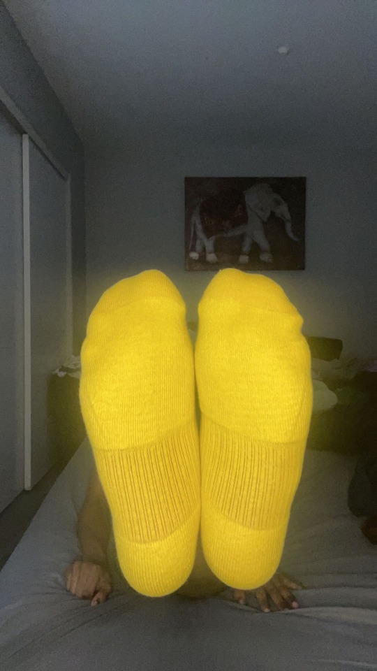 Bumble Bee