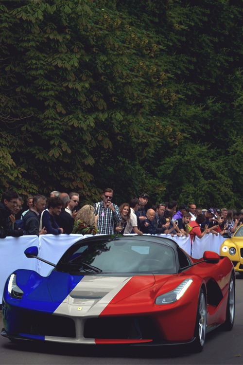 linear5000:  mistergoodlife:  LaFerrari World Cup France Edition - Go France!      (via TumbleOn)