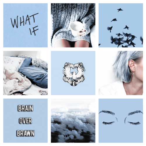 bloodybaronn:ravenclaw –