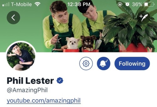 pumpkinspicedaniel:LOOK AT THEIR NEW LAYOUTS honestly I’m in love :)c-c-cosmo and wanda??