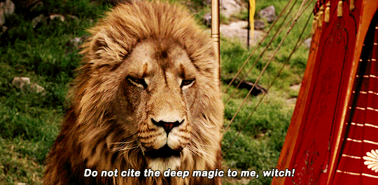 disneyliveaction: The Chronicles of Narnia: The Lion, the Witch and the Wardrobe