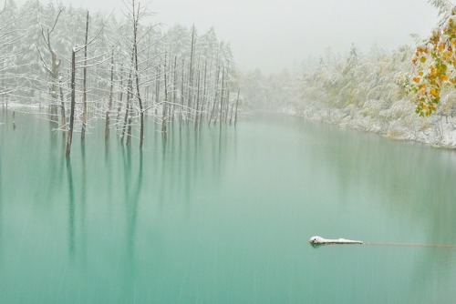 bobbycaputo:Beautiful Blue Pond in Japan Turns Spectacularly GreenSimply known as the “Blue Pond,” t