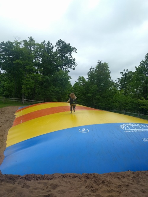 Family outting off the homestead! We road the alpine coaster at Spirit Mountain and it was super fun