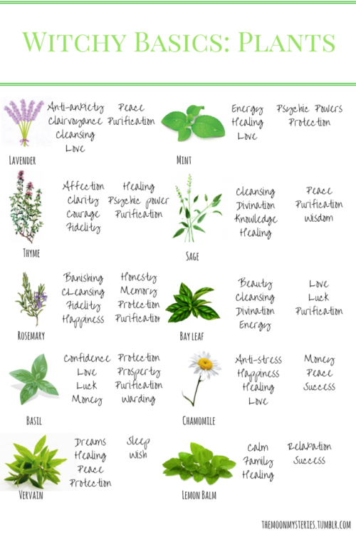 themoonmysteries - Witchcraft basics - Plants - part 1Here is a...