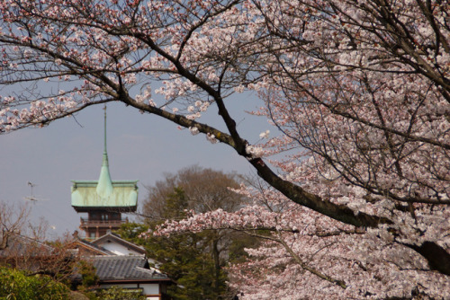 by  Nobuhiro Suhara