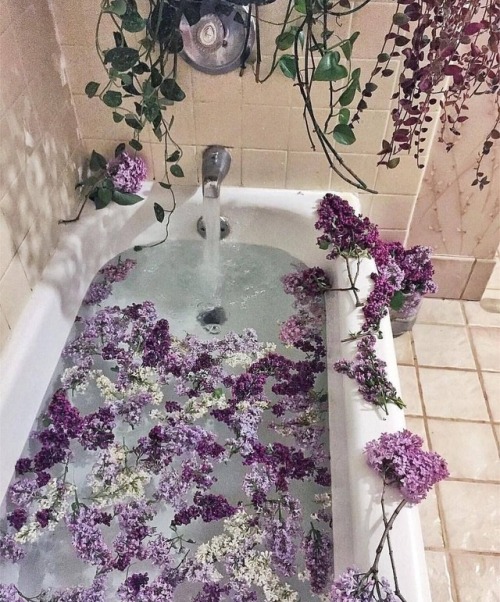 theweefreewomen:[id: photo of a bathtub, with numerous flowers floating in the water.]
