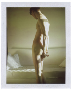 ouijno:  elf-portrait june 28 2015 (polaroid