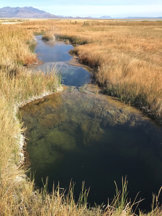 Borax Lake  The Nature Conservancy in Oregon