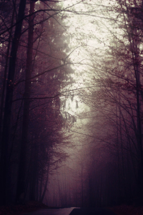 Rain Light&lt;Landscape veiled in fog. Nostalgic dreams. Diffused light. Unknown existence.&gt; 