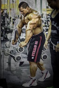 drwannabe:  Roelly Winklaar