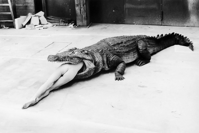 crysantha:  Helmut Newton A Scene From Pina Bausch’s Ballet, Die Keuschheitslegende,