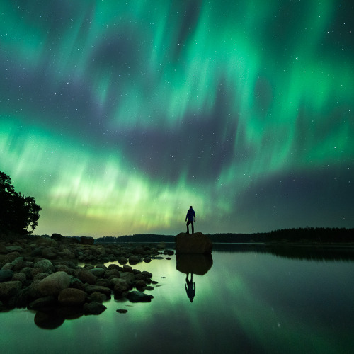 Illuminated Nighthttp://www.mikkolagerstedt.com/blog/2015/4/2/illuminated-night