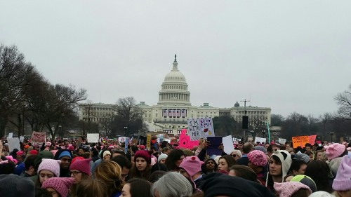 Women’s March on WashingtonJanuary 2017