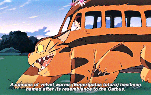 STUDIO GHIBLI + Trivia (insp.)  Kiki’s Delivery Service (1989) Howl’s Moving Castle (2004) My Neighbor
