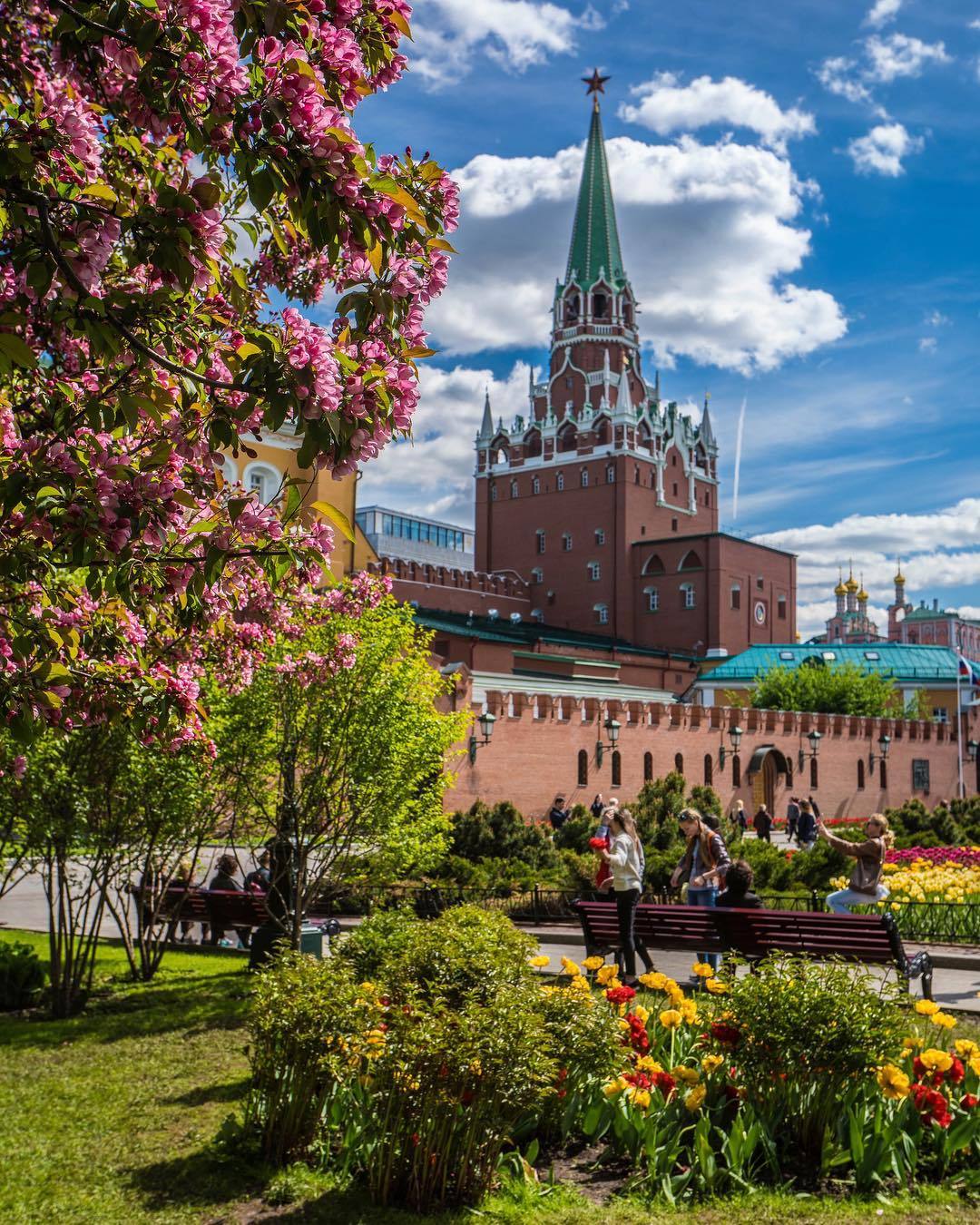Москва В Цвете Фото