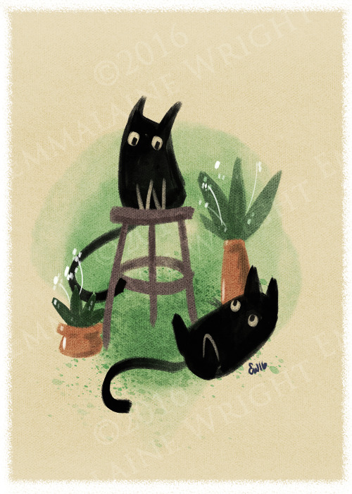 emmalainewright: New listing available!“Les Chats”, a cute illustration of twin black ca