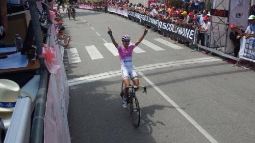 Girorosa