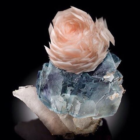 geologypage:  Calcite on Fluorite | #Geology #GeologyPage #Mineral  Locality: Yaogangxian, China   Photo Copyright © James Elliott  Geology Pagewww.geologypage.com
