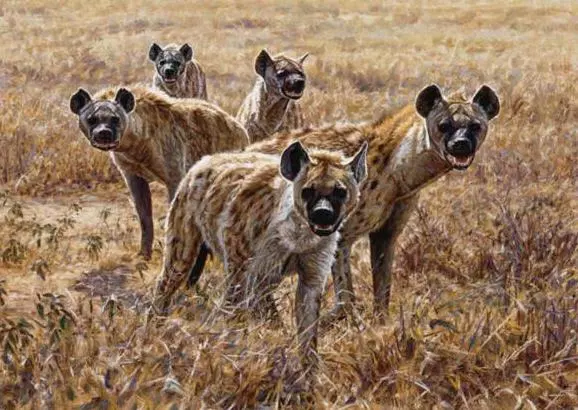 aspiring-protagonist: These hyenas boutta drop a sick mixtape 