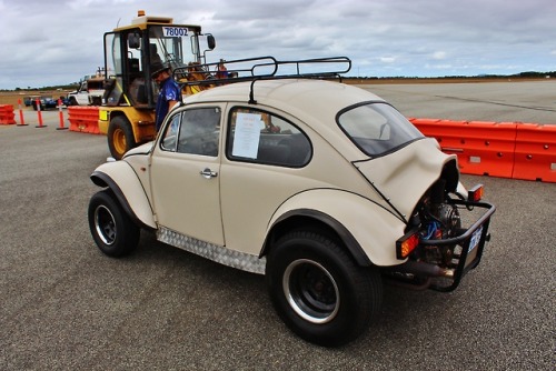 73 baja bug