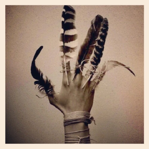 atimo-taguy: hippiemodelchic: #feather #spirit #native #indian hey fuckface, since you have these ta