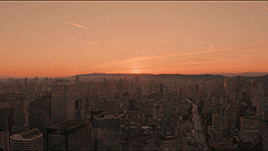 scoppolatribute:    Parallels between Lost In Translation (2003) and Her (2013)      follow on facebook: marie antoinette    