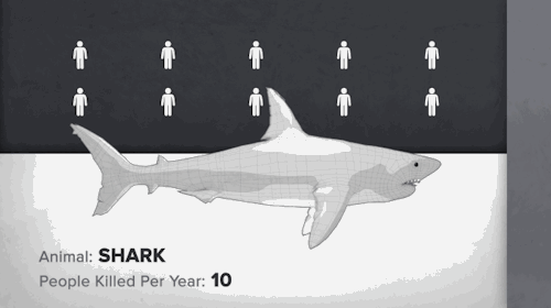 good:  It’s Shark Week! That time of year where television networks pretend sharks are the most dangerous animal out there. Here we compare how many people are killed by sharks per year versus the two deadliest animals for humans - mosquitos and other