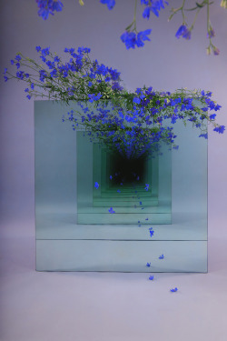 itscolossal: Mirrored Installations by Sarah Meyohas Create Infinite Tunnels Strewn With Dangling Flowers