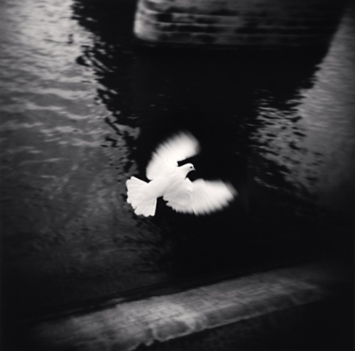 inneroptics:MICHAEL KENNA