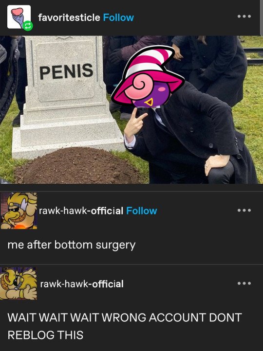 Tumblr media
