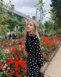 Porn photo joyhearv:Rosé girlfriend material