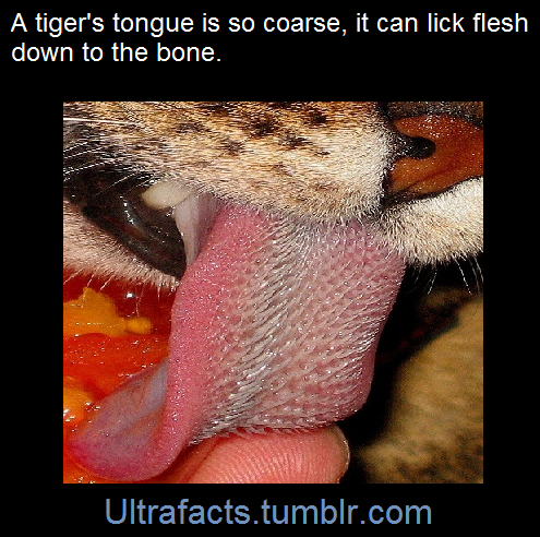ultrafacts:  Source: [x] Follow Ultrafacts for more facts! 