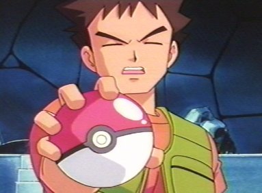shelgon:  They share the same voice actor 