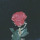 sadboyshane:if we’re mutuals we’re basically best friends