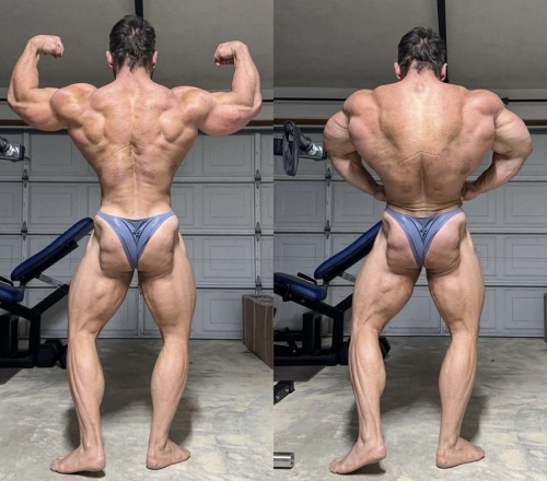 woulduplease - I like big bi's and I cannot lie!