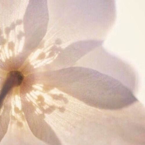 She Believes In Poetry And Love And Passion And Everything She Can Feel And Cannot See.