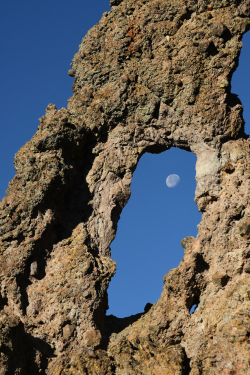 oneshotolive:  Looking Through a Window at the Moon. Crawling through the bushes was worth it. Sierra Nevada Range, CA. [1667x2500][OC]@seanaimages 📷: cubedude719 